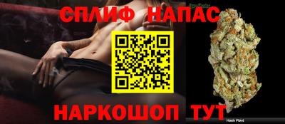 индика Партизанск