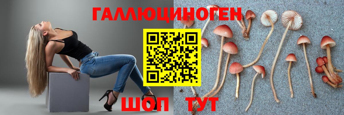 Галлюциногенные грибы прущие грибы Тара
